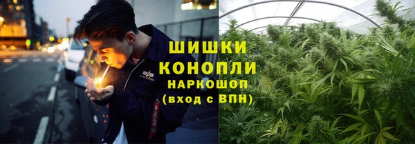 сатива Кодинск
